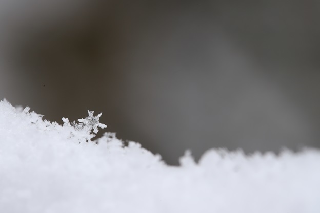 IMG_6246雪の結晶