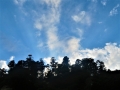城址の空