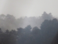 霧と雨
