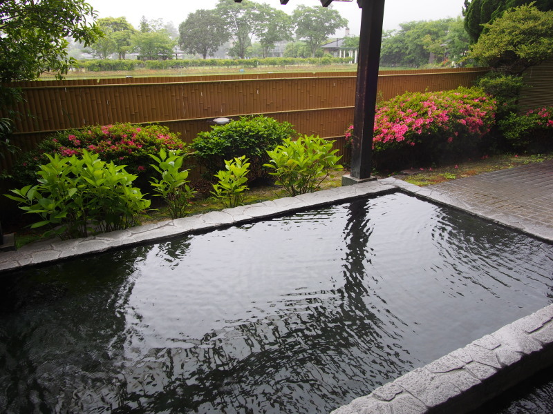 P5300004.jpg