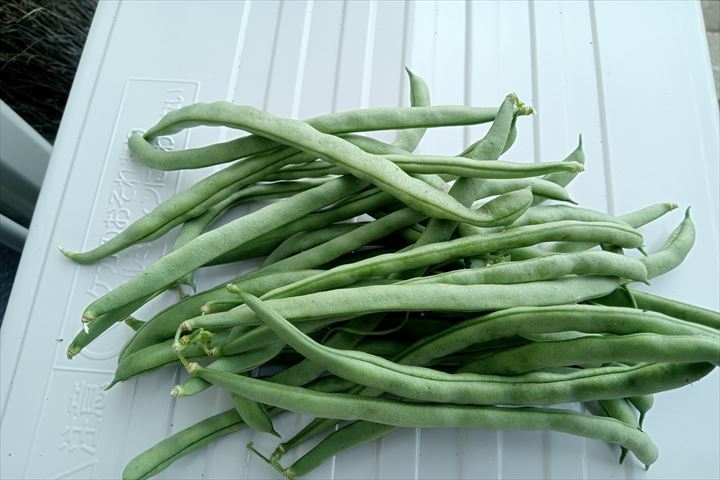 IMG20230619081740_R.jpg