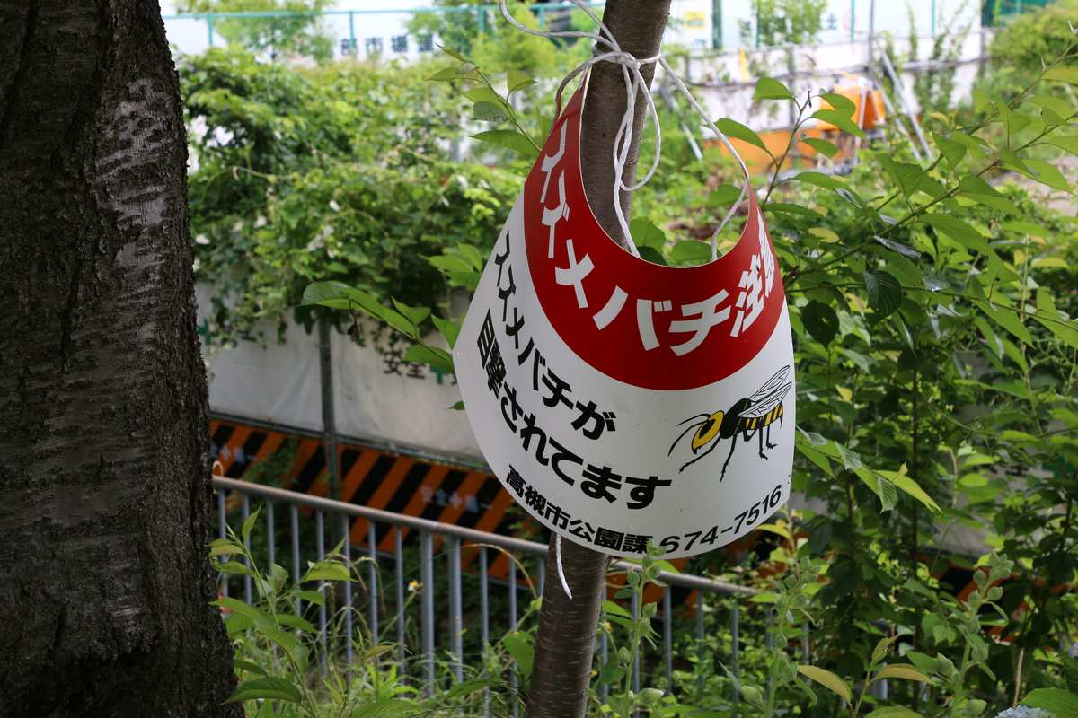 「スズメバチ注意　スズメバチが目撃されています」と書かれた高槻市公園課の注意喚起標識が木に括り付けられています。