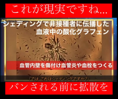 Screenshot 2023-08-21 at 23-15-43 狗鷲イヌワシ on X(1)