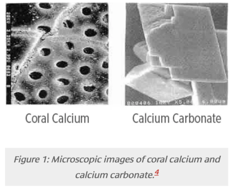 サンゴカルシウムと炭酸カルシウム