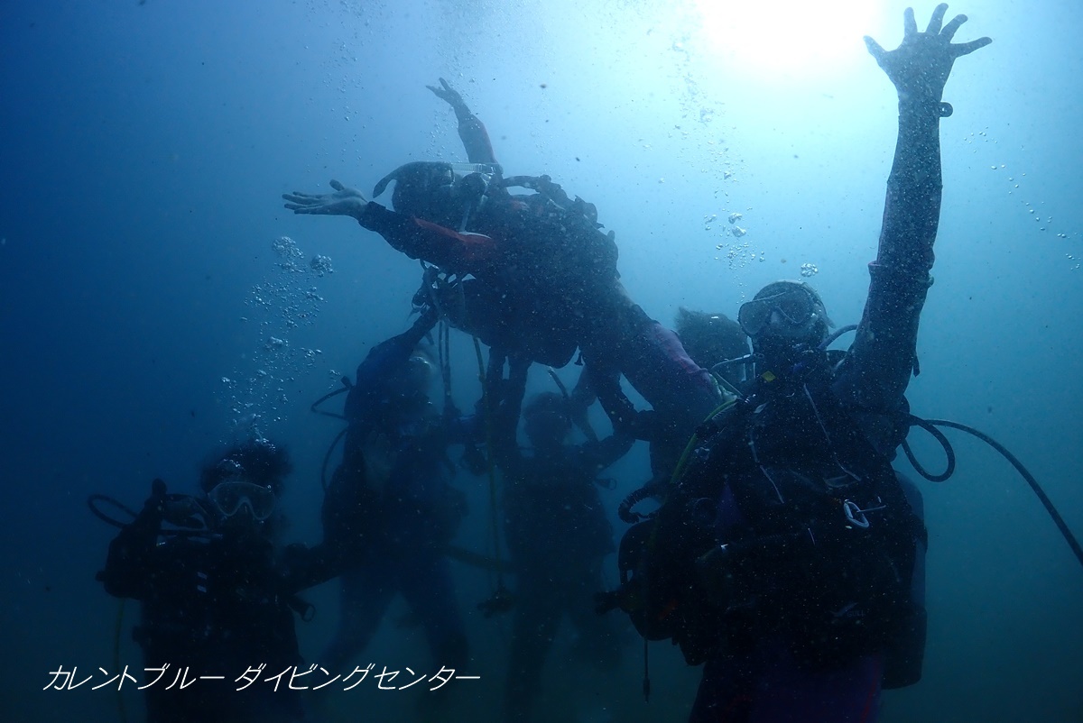 江の浦体験ダイビング (19)