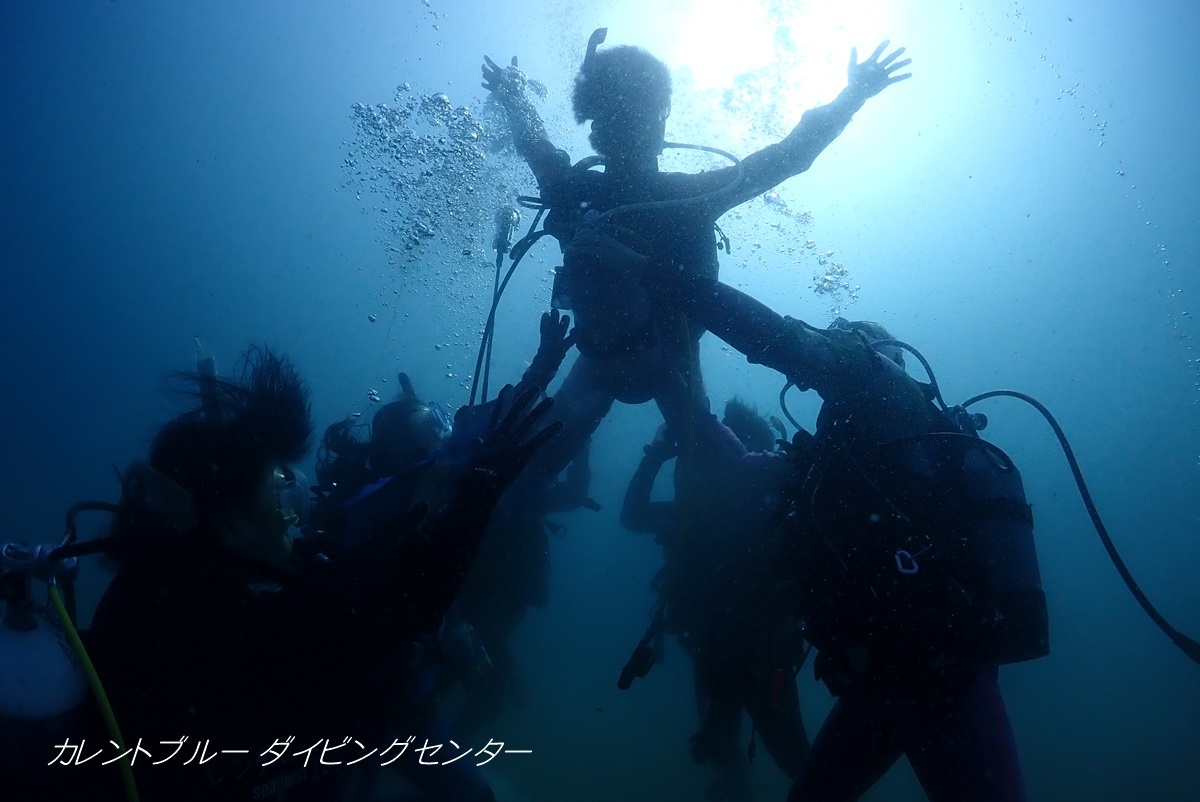 江の浦体験ダイビング (18)
