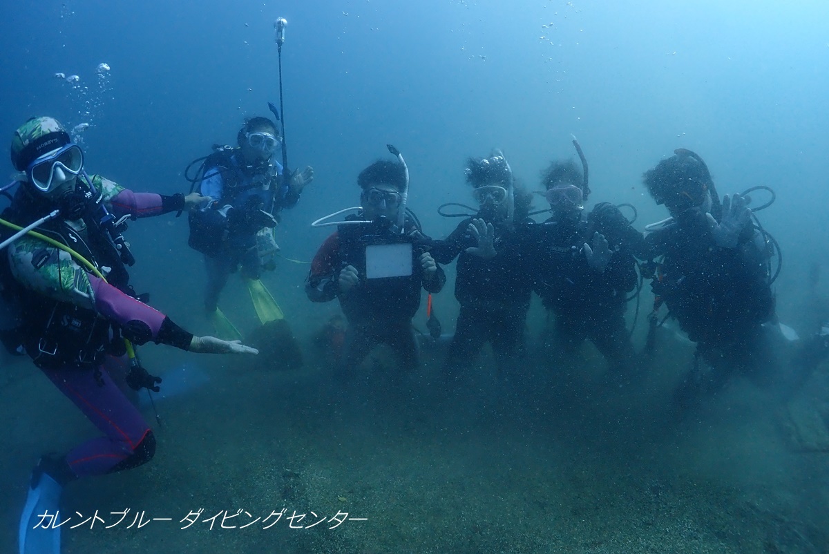 江の浦体験ダイビング (20)
