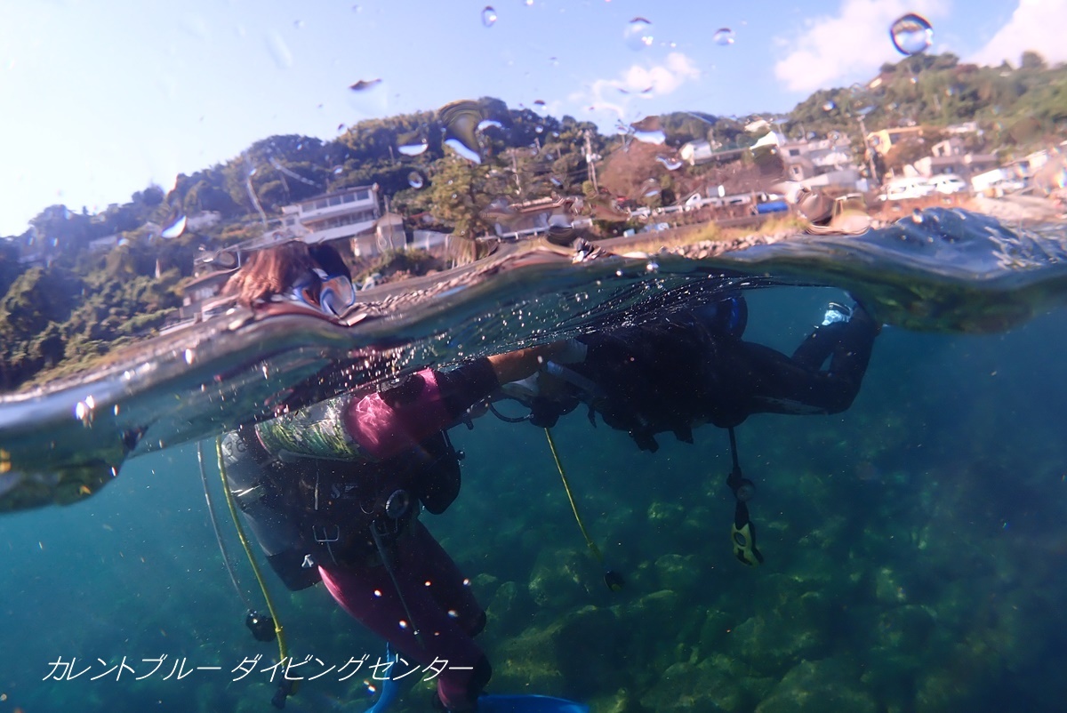 江の浦体験ダイビング (3)