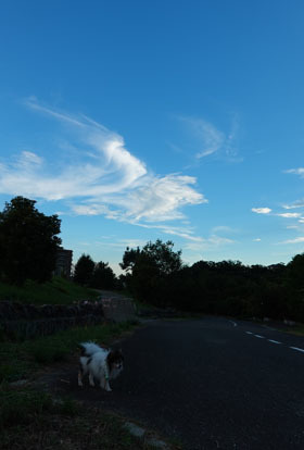 RXA02223.jpg