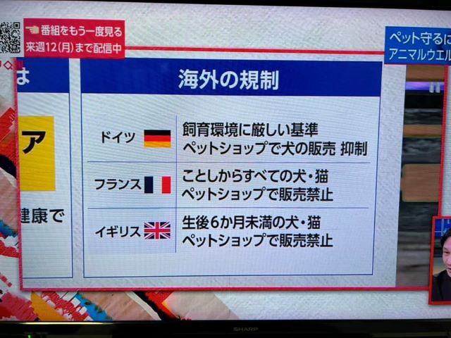 NHK クローズアップ現代