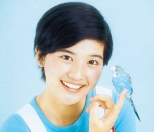 桜田淳子「わたしの青い鳥」の頃