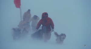 『南極物語』本物の吹雪