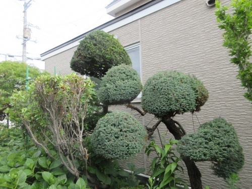 IMG_2023068237.jpg