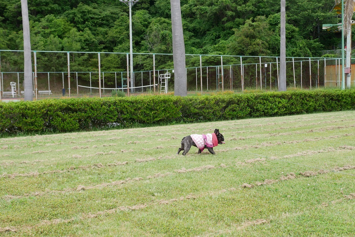 あ５