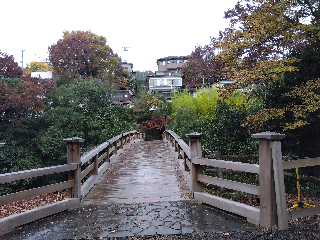 雨降る猿橋