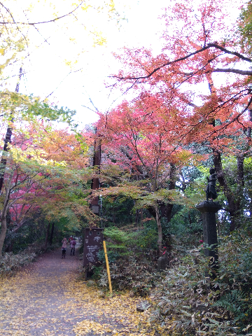 高尾山に行きました。