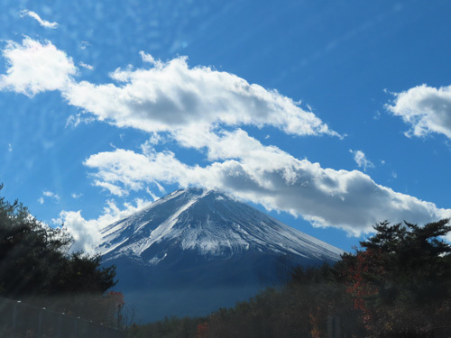ハスまみれ前日の富士山　