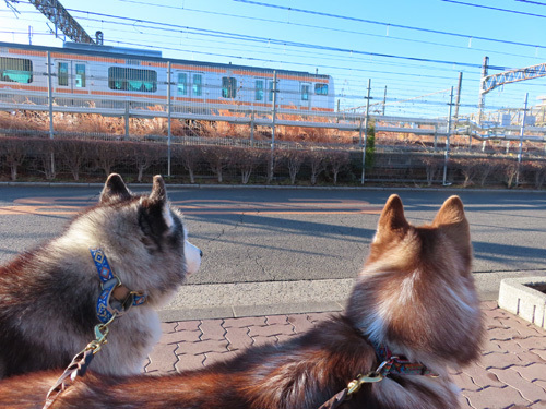 線路脇から電車観察