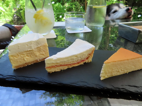 カフェ＆ガーデン しらさぎ邸　3種のチーズケーキ