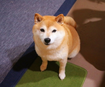 20230530205250977.jpg
