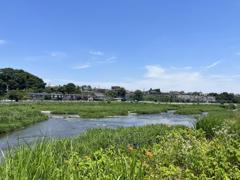 多摩川支流0013