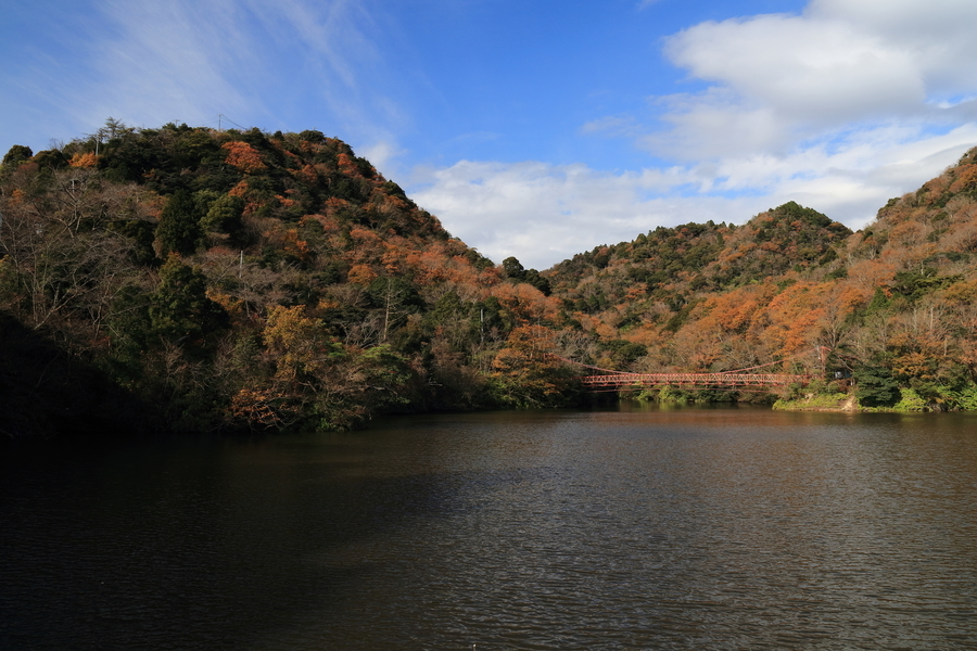 公園の池の向こうに紅葉した山々と池に架かる赤い吊橋があり、背景は雲が少しある秋の青空が写っている画像。池の水面は風で少しさざ波立っている。