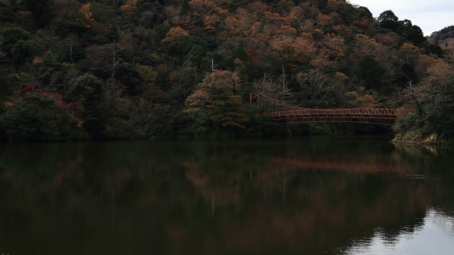 公園の池に架かる赤い吊橋があり、背景の森は赤く紅葉している。池の水面には赤い吊橋や紅葉した森の風景が映り込んでいる画像。