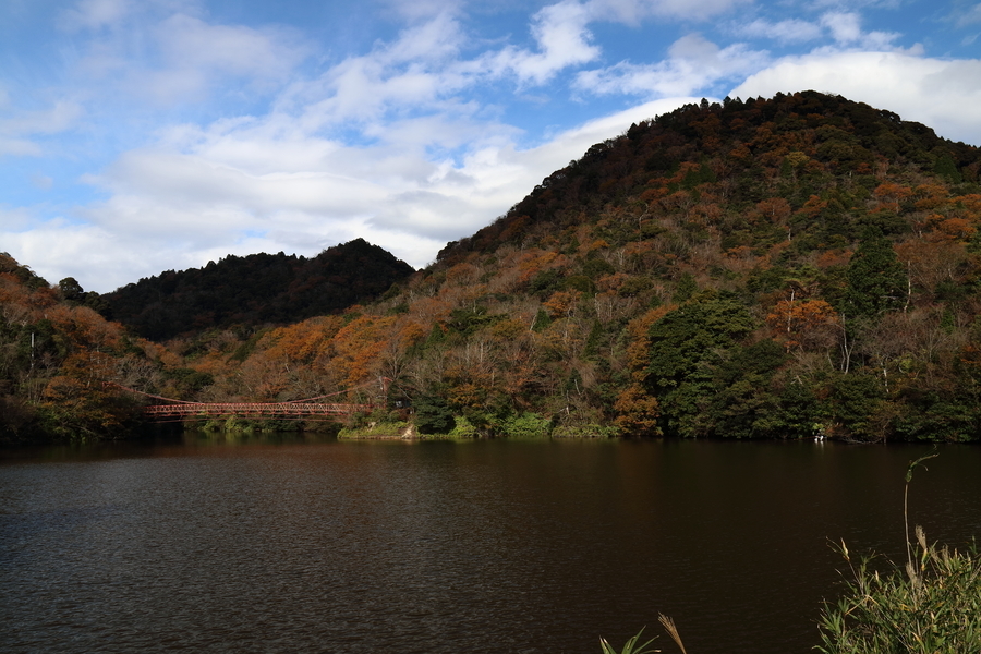 公園の池の向こうに紅葉した円錐形の山と池に架かる赤い吊橋があり、背景は雲が少しある秋の青空が写っている写真。池の水面は風で少しさざ波立っている。