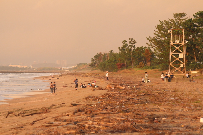 台風が過ぎ去った後の伊勢湾の海岸の風景を撮影した写真⑤沢山のゴミがが打ち上げらた海岸で日の出を眺める大勢の人たち。