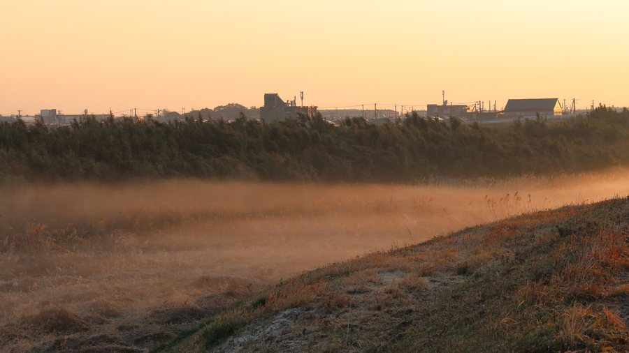 朝の鈴鹿川水系で川原を埋める川霧を写した写真⑤