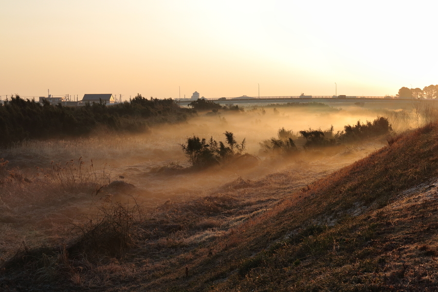 朝の鈴鹿川水系で川原を埋める川霧を写した写真⑥