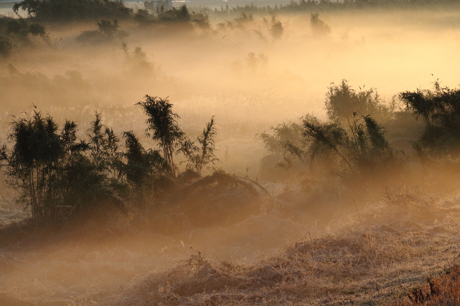 朝の鈴鹿川水系で川原を埋める川霧を写した写真①朝日の照らされてオレンジ色に色付く川霧。