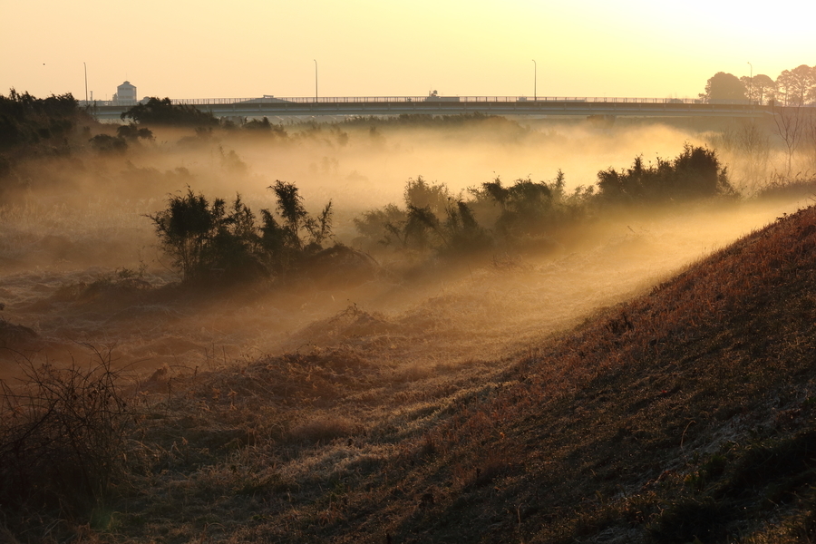 朝の鈴鹿川水系で川原を埋める川霧を写した写真④