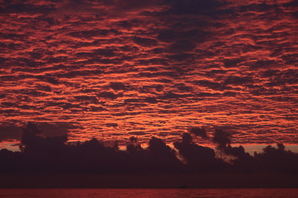 朝の海岸で朝焼けの空を撮影した写真⑤