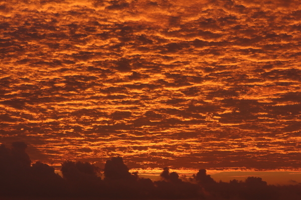 朝の海岸で朝焼けの空を撮影した写真⑥
