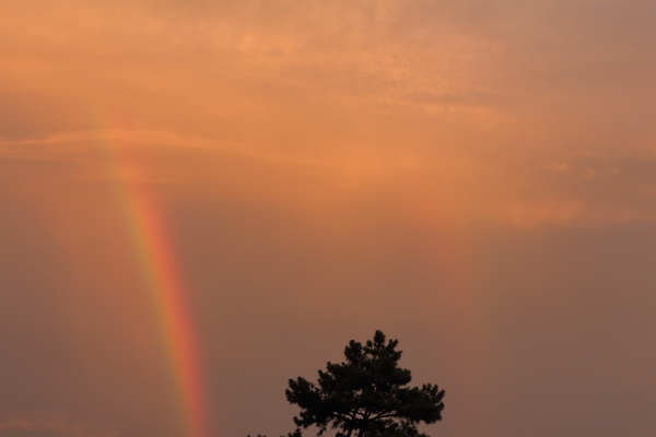 朝の海岸で二重の虹を撮影した写真