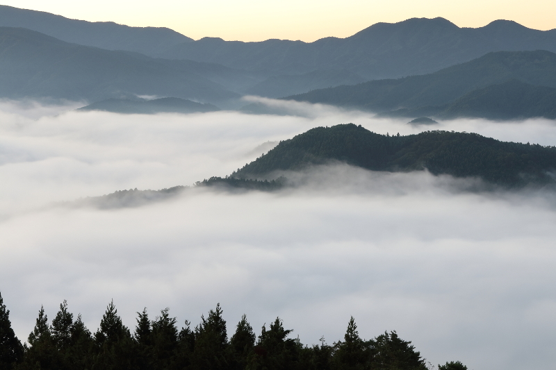 奈良県曽爾村の屏風岩公苑から見た雲海の写真。