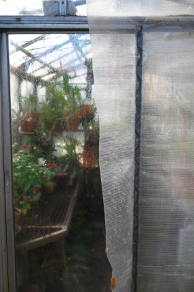 寒気に会わせる植物と温室の外張り・・・・。