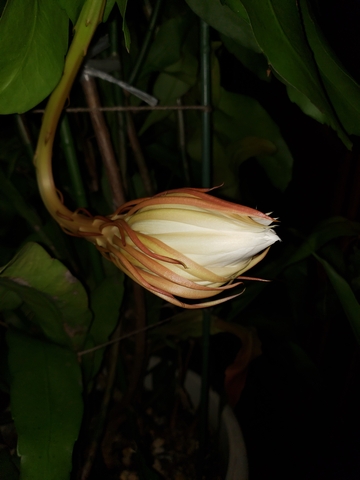 230911a.jpg