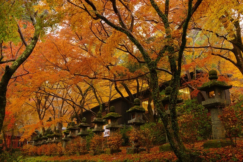 2023年11月28日　談山神社 (3)