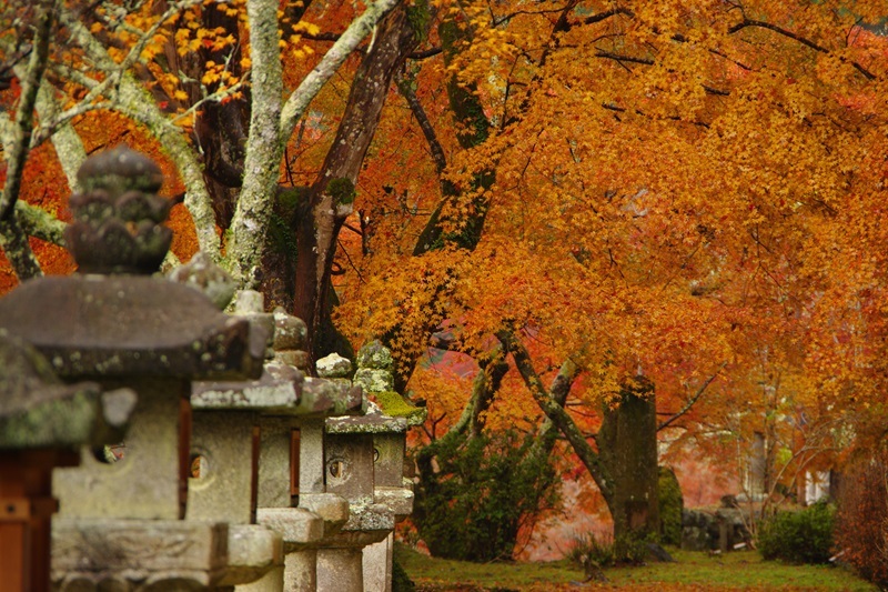 2023年11月28日　談山神社 (9)