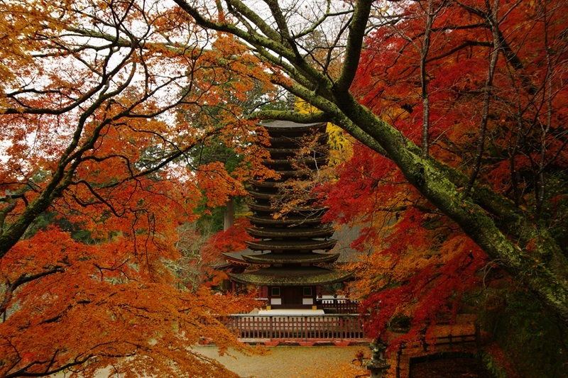 2023年11月28日　談山神社 (11)