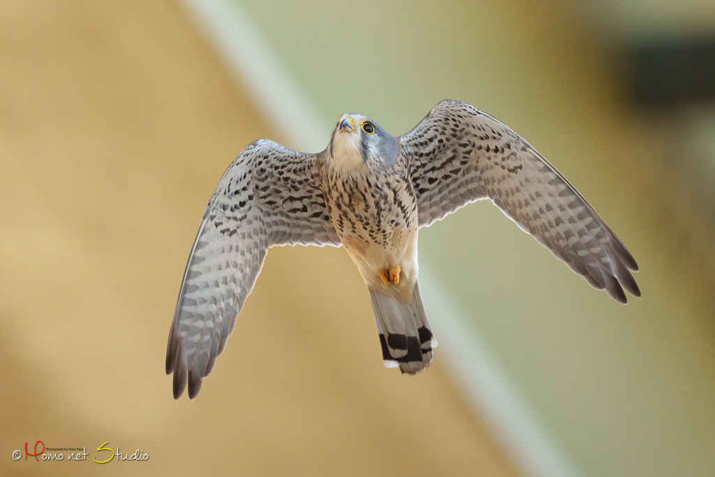 20230308-_DSC0064.jpg