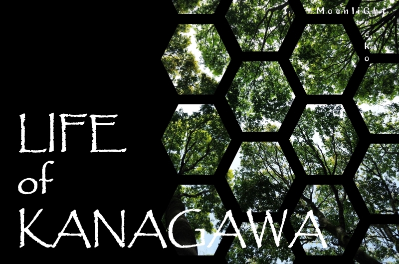 LIFE of KANAGAWA