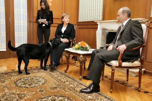 3ab 600 Merkel Putin dog