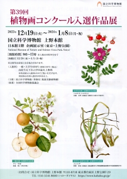 植物img150 (1)