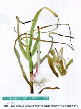 植物img150 (4)