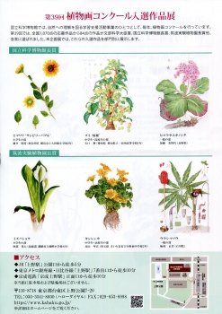 植物img150 (5)