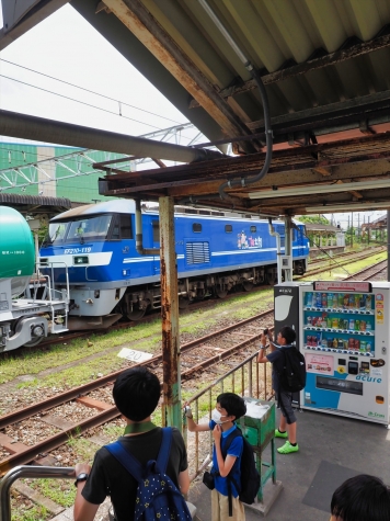 JR貨物 EF210-119 牽引の貨物列車【浜川崎駅】