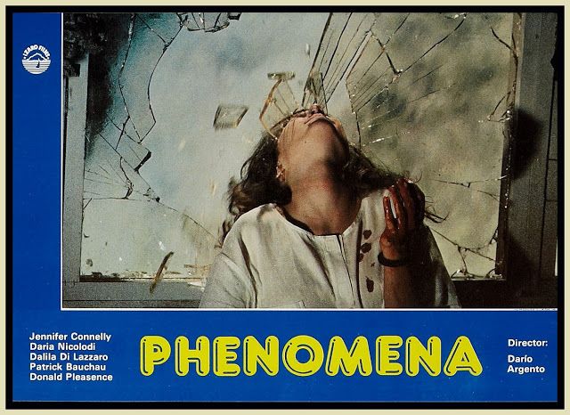 phenomena3.jpg